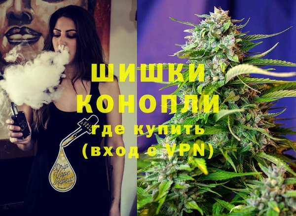 дурь Покачи